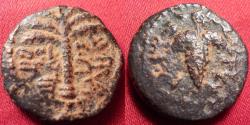 Ancient Coins - BAR KOCHBA REVOLT AE small bronze. Year 1, 132 AD. ELEAZAR THE PRIEST. Grapes / date palm. Rare.