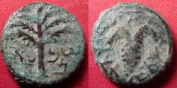 Ancient Coins - BAR KOCHBA REVOLT AE 18mm 'small bronze'. Year 3, 134-135 AD. Bunch of grapes / Date palm. Very scarce