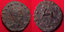 Ancient Coins - GALLIENUS AE antoninianus. APOLLINI CONS, Centaur walking left.