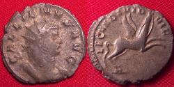 Ancient Coins - GALLIENUS antoninianus. Mediolanum, 260-261 AD. LEGIO II ADIUTRIX, Pegasus prancing