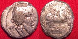Ancient Coins - QUINTUS TITIUS AR silver denarius. Bust of Mutinus Titinus (Priapus), wearing winged diadem. Pegasus springing from tablet.