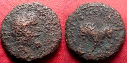Ancient Coins - SEPTIMIUS SEVERUS AE assarion. Lion walking left.