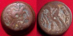 Ancient Coins - PTOLEMY IX & PTOLEMY X AE '40 drachms' (obol). Two eagles. 113-81 BC