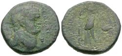 Ancient Coins - Domitian (AD 81-96). Judaea. Ascalon Æ24 / Tyche