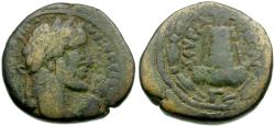 Ancient Coins - Antoninus Pius (AD 138-161). Commagene. Zeugma Æ23 / Temple with Sacred Grove