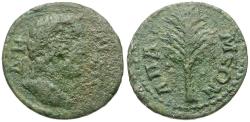 Ancient Coins - Phrygia. Apameia. Pseudo-autonomous &#198;24 / Tree