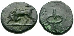 Ancient Coins - Phliasia. Phlious Æ11 / Bull