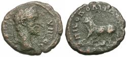 Ancient Coins - Septimius Severus (AD 193-211). Moesia Inferior. Nicopolis ad Istrum Æ17 / Bull