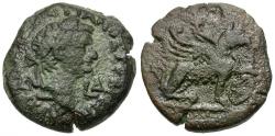 Ancient Coins - Domitian (AD 81-96). Egypt. Alexandria Æ Obol / Griffin