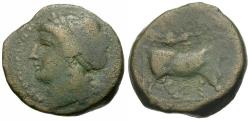 Ancient Coins - Campania. Neapolis Æ19 / Man-headed Bull