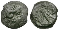Ancient Coins - Ptolemaic Kings of Egypt. Ptolemy IX Soter II (117-81 BC) and Ptolemy X Alexander I (114-88 BC) Æ12 / B-A