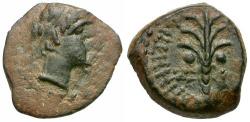 Ancient Coins - Seleucid Kings. Demetrios II Nikator, first reign (146-138 BC) Æ13 / Palm tree