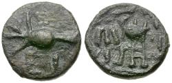 Ancient Coins - Sikyonia. Sikyon Æ13 / Dove