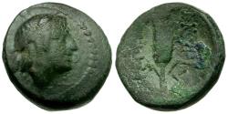 Ancient Coins - Macedon. Amphipolis Æ16 / Grain