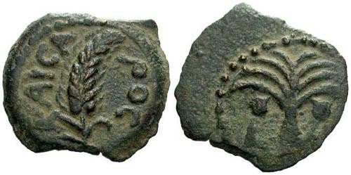 Ancient Coins - EF/EF Marcus Ambibulus Prutah / Palm Tree