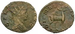 Ancient Coins - Gallienus, sole reign (AD 260-268) Æ Antoninianus / Stag