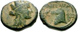 Ancient Coins - Cilicia. Aigeai Æ18 / Horse head