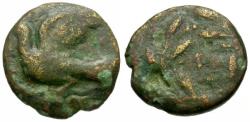 Ancient Coins - Sikyon. Peloponnesos Æ14 / Dove