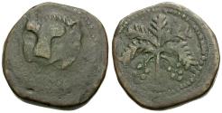 World Coins - Norman Kings of Sicily. William II (AD 1166-1189) Æ Trifollaro / Palm