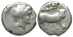 Ancient Coins - Campania. Neapolis AR Didrachm / Man-headed Bull