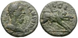 Ancient Coins - Macrinus (AD 217-218). Ionia. Ephesos Æ15 / Boar