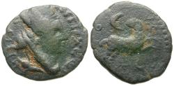 Ancient Coins - Seleucis and Pieria. Antioch. Pseudo-autonomous &#198;19 / Ram