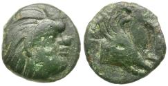 Ancient Coins - Cimmerian Bosporus. Pantikapaion Æ14 / Pegasus