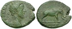 Ancient Coins - Commodus (AD 177-192) Æ AS / Elephant