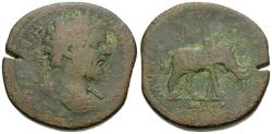 Ancient Coins - Septimius Severus (AD 193-211) Æ Sestertius / Elephant