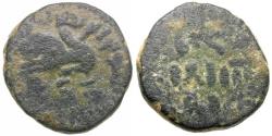 World Coins - Islamic. Umayyad Caliphate Æ Fals / Lion