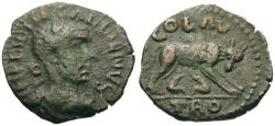 Ancient Coins - Gallienus (AD 253-268). Troas. Alexandria Æ21 / Wolf and Twins