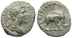 Ancient Coins - Septimius Severus (AD 193-211) AR Denarius / Elephant