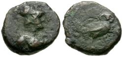 Ancient Coins - Seleucis and Pieria. Laodicea ad Mare. Pseudo-autonomous Æ13 / Owl