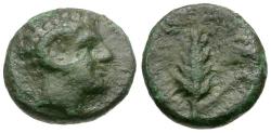 Ancient Coins - Lucania. Metapontum Æ10 / Apollo Carneius
