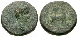 Ancient Coins - Germanicus, Caesar (15 BC-AD 19). Phrygia. Apameia. Gaios Ioulios Kallikles, magistrate Æ15 / Stag