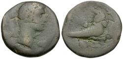 Ancient Coins - Augustus (27 BC-AD 14). Egypt. Alexandria Æ Diobol / Capricorn