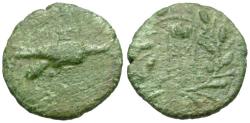 Ancient Coins - Sikyonia. Sikyon Æ18 / Dove