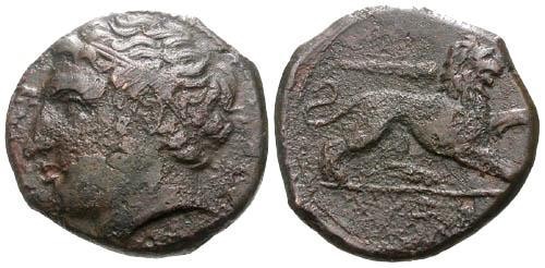 Ancient Coins - aVF/aVF Sicily Syracuse AE21 Period II of Agathokles / Lion / William C Boyd collection