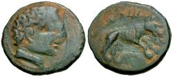 Ancient Coins - Spain. Iberia. Ilergets. Iltirta Æ24 / Wolf