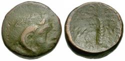 Ancient Coins - Kyrenaica. Kyrene Æ17 / Palm tree