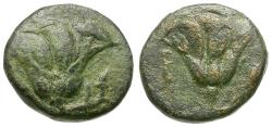 Ancient Coins - Islands off Caria. Rhodos Æ11 / Roses