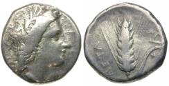 Ancient Coins - Lucania. Metapontum AR Didrachm