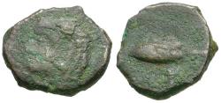 Ancient Coins - Spain. Iberia. Gades Æ11 / Tunny Fish