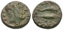 Ancient Coins - Lucania. Paestum (Poseidoneia). Time of the Second Punic War Æ Quadrans / Dolphin