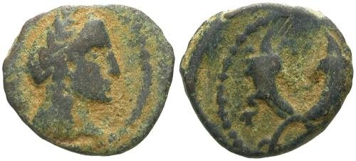 Ancient Coins - aVF/aVF Kings of Nabataea Aretas IV AE