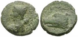 Ancient Coins - Laodicea ad Mare Pseudo-autonomous Æ16 / Boar