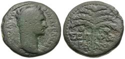 Ancient Coins - Trajan (AD 98-117). Judaea. Galilee. Sepphoris (Diocesarea) Æ23 / Palm Tree