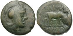 Ancient Coins - Macedon. Roman Rule. Bottiaia. Gaius Publius Tamios, Questor Æ21 / Horse