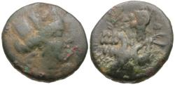 Ancient Coins - Phoenicia. Berytos Æ18 / Baalberith in Quadriga of Hippocamps