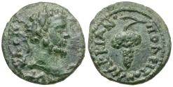 Ancient Coins - Septimius Severus (AD 193-211). Moesia Inferior. Marcianopolis Æ17 / Grapes